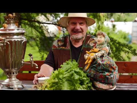 Видео: Инфранаука. С.В. Савельев. "Пироги Мухи"