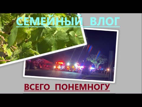 Видео: ВСЕГО ПО ЧУТЬ-ЧУТЬ: САД-ОГОРОД И ДРУГОЕ//ПРИЯТНОГО ПРОСМОТРА