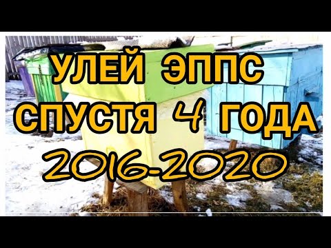 Видео: Тест улья из пенополистирола 2016-2020 год. Что же с ним случилось??? 😱😱😱😲😲 #улейэппс#пенополистирол