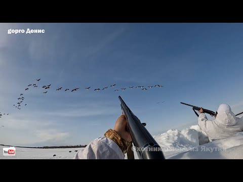 Видео: ОХОТА НА ГУСЯ. ЛУЧШИЕ МОМЕНТЫ