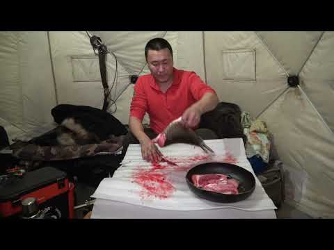 Видео: КАК ПРИГОТОВИТЬ ЮКОЛУ ИЗ ЩУКИ!!! ЮКОЛА В ПОДМОСКОВЬЕ!!!