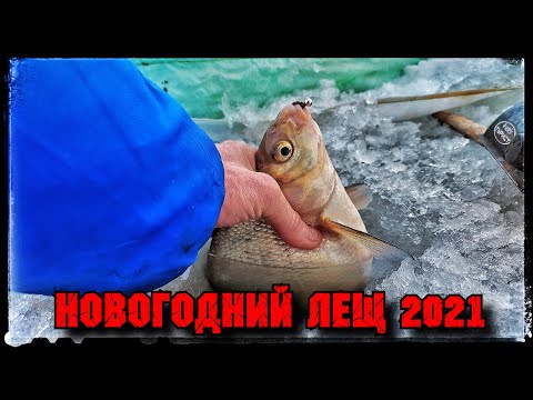 Видео: Безумная Ловля Леща на реке Тобол. Клюет подряд! Поймал 123 штуки!!!