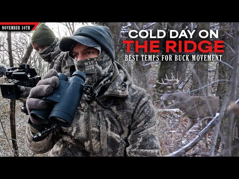 Видео: Холодный день на хребте — лучшая погода для передвижения самцов | Охота с луком на белохвостых ол...