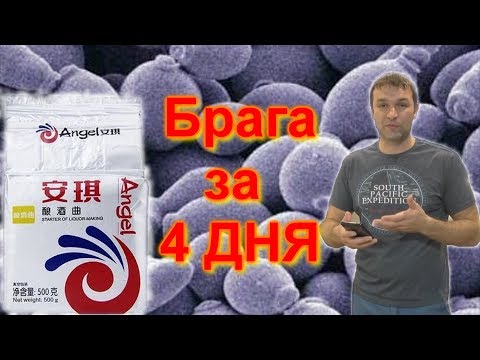 Видео: Брага на кодзи, пошаговый рецепт