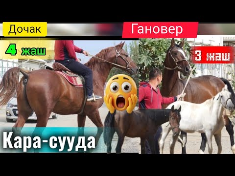 Видео: Оштун ОТО чон оспурумдору