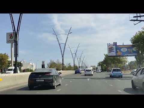 Видео: Из Тбилиси в Кахетию на сбор урожая винограда. Тур выходного дня.