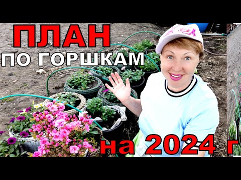 Видео: Цветы, которые я буду сажать в кашпо всегда. Планы на 2024 год. Мои миксы в кашпо