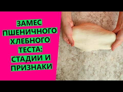 Видео: Замес хлебного пшеничного теста: поэтапно {КАКИЕ ПРИЗНАКИ ПРАВИЛЬНО ЗАМЕШАННОГО ТЕСТА}