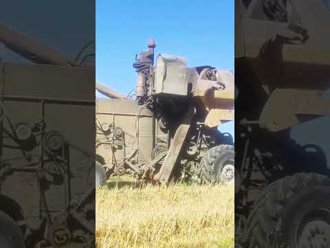 Видео: Жнива 19 08 2025 Найкраще що може бути🤤