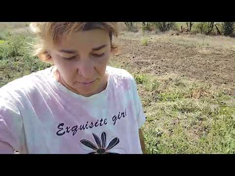 Видео: Меня прорвало 🤣🤣🤣