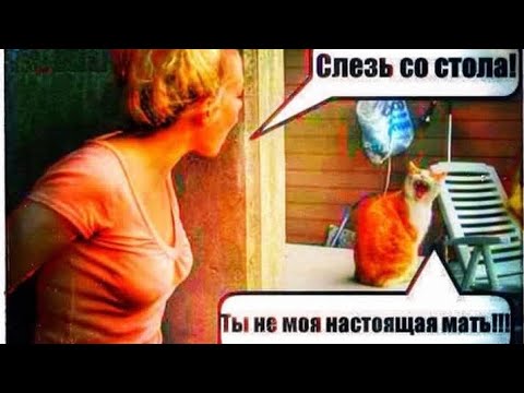 Видео: 🤔❓💯 Как сработал ВЫЗОВ и что у Мужчины на уме 😼💥🔥