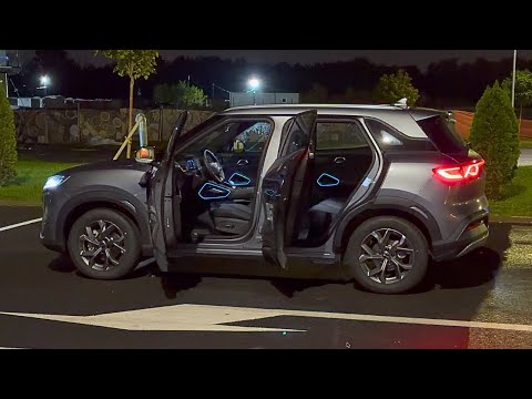 Видео: Обзор BYD Atto 2 Night Lights