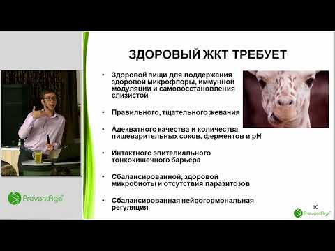 Видео: Первый модуль. Андрей Гострый.