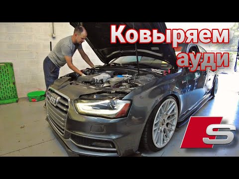 Видео: Диагностика Ауди S4