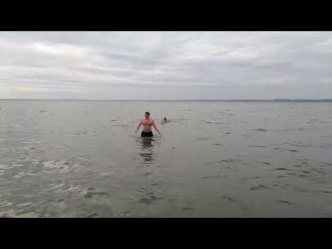 Видео: Вот это бодро