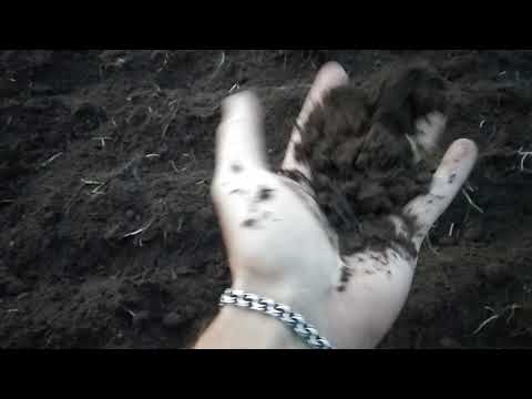 Видео: Клубника . Как правильно подготовить землю