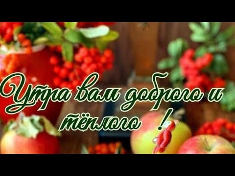 Видео: Доброе утро. Хорошего дня каждому из нас.💖