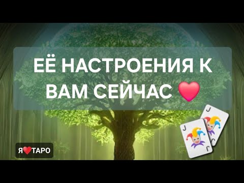 Видео: ЕЁ НАСТРОЕНИЯ К ВАМ ПРЯМО СЕЙЧАС❗️| таро гадание для мужчин