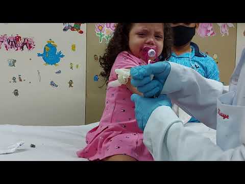 Видео: Sofia. Coleta de sangue.جمع الدم. Recogida de sangre. Сбор крови. 採血.