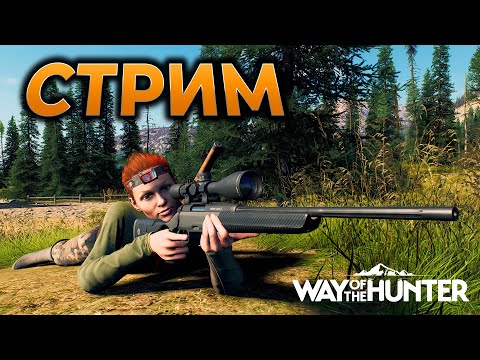 Видео: WAY OF THE HUNTER прохождение ► СТРИМ ВСЕ КАРТЫ ► Симулятор охоты ► RTX 4090