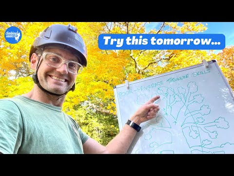 Видео: От плохого к среднему с THROWLINE? Тогда посмотрите это...