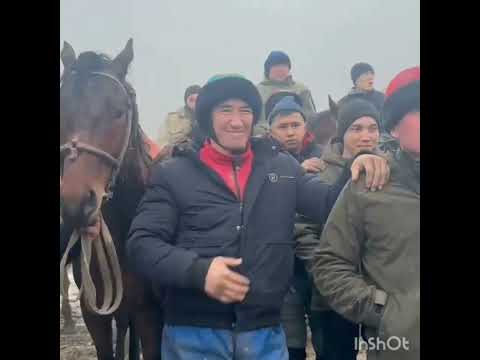 Видео: "Спартак "айылы:Рустам малашенка нын тою