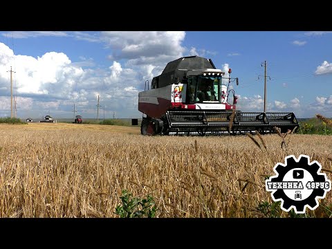 Видео: Уборочная 2024. Комбайны Акрос на уборке ячменя в Елецком районе