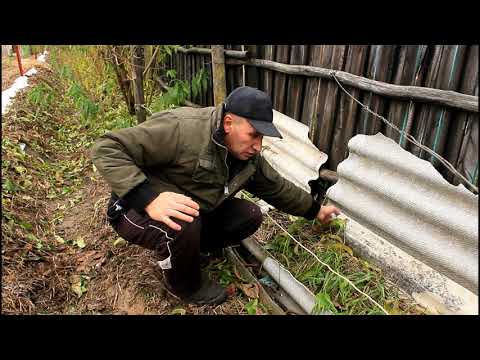 Видео: Укрытие винограда. Канал+шифер Серия 120.