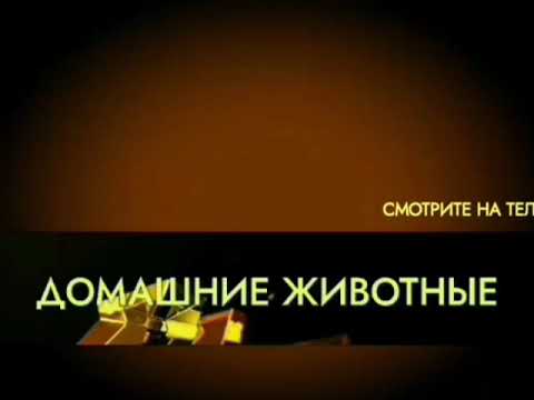 Видео: (Реконструкция) Оформление каналов Телекомпании СТРИМ