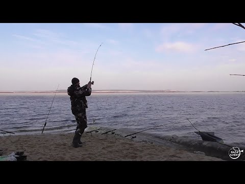 Видео: КАРАСЬ на донки в марте г Нововоронеж  Отлично отдохнули