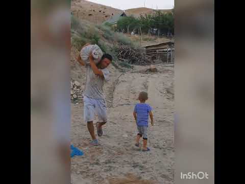 Видео: Гитарист Жуманазар Фисташки! (мисте)