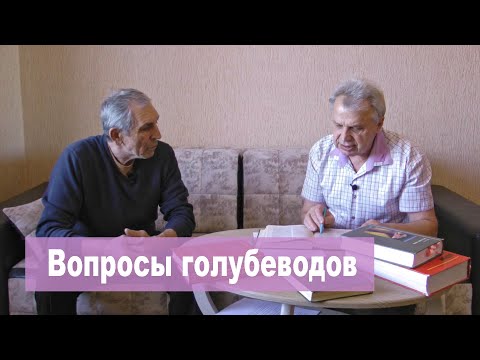 Видео: Ответы на вопросы голубеводов