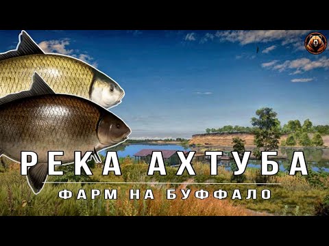 Видео: Русская Рыбалка 4. фарм серебра на Буффало. река Ахтуба.