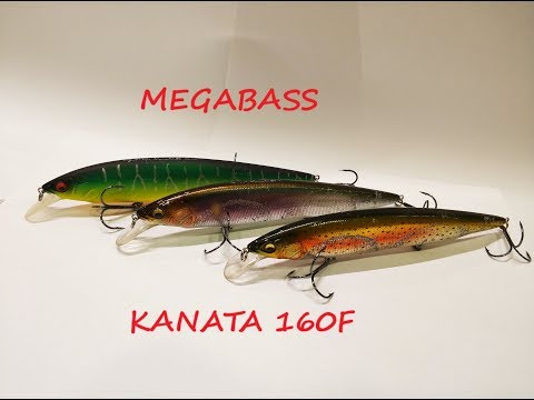 Видео: Загляни в мою коробку! Megabass KANATA 160F