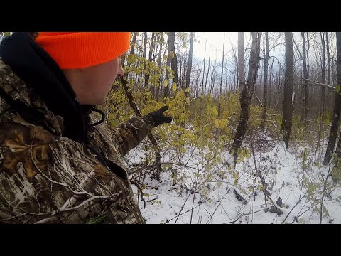 Видео: Охота с луком в Мичигане в ноябре