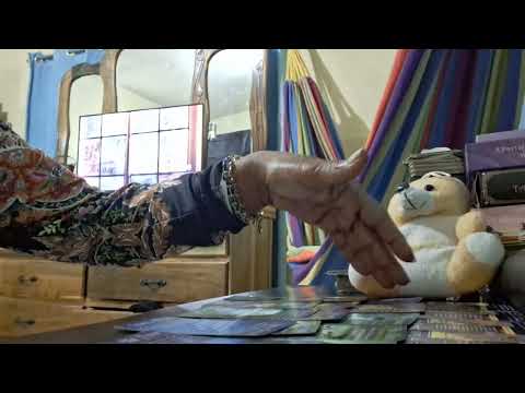 Видео: Ты моя девушка номер один. Вот что он всем говорит 💖😍