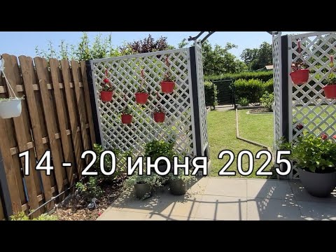 Видео: Наша Дача на севере Германии./моим  задумкам  мешает шкаф 🤔