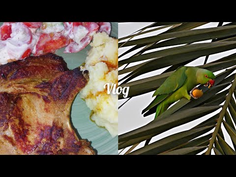 Видео: Израиль Перекрыты дороги Оплатила штраф Приготовила обед