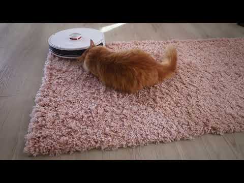 Видео: GARLYN SR-900 всё, что важно знать перед покупкой