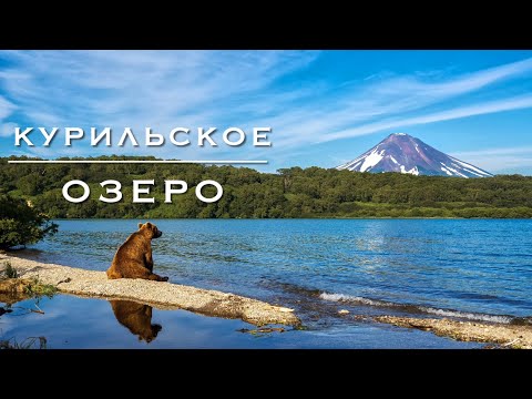 Видео: Дикарём на Камчатку #11. В гости к ХОЗЯИНУ КАМЧАТКИ.