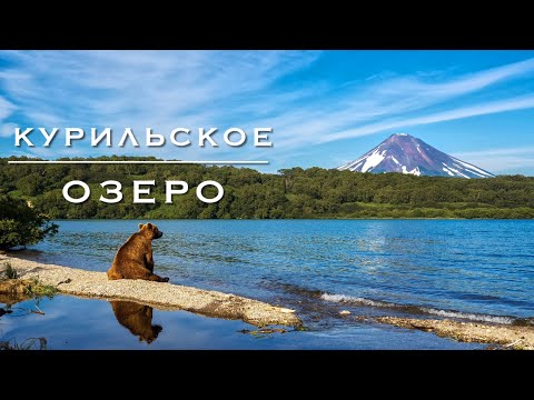 Видео: Дикарём на Камчатку #11. В гости к ХОЗЯИНУ КАМЧАТКИ.