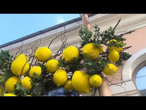 Видео: По улицам Питера.#travel #shortvideo 