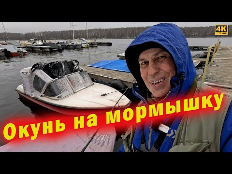 Видео: Окунь на мормышку и искусственный мотыль. Рыбалка 2025