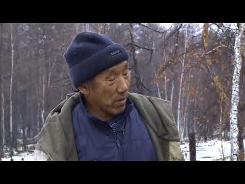 Видео: Репортаж "Чап уустара"