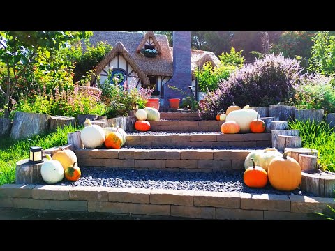 Видео: Тыквы, теплый хлеб и уютная осенняя атмосфера 🍁🍂🍁🍂
