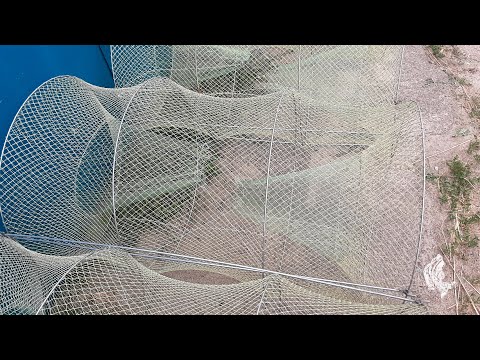 Видео: Ятерь-РАКОЛОВКА. Продажа ятерь, раколовка, верша, мережа, морда, жак.