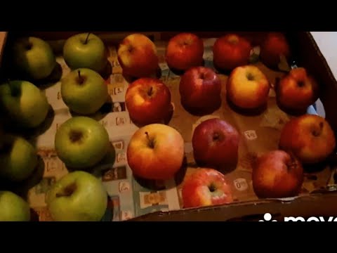 Видео: БОЛЬШОЕ ДЕЛО СДЕЛАНО ‼️/ ТАК ЖИЛИ РОДИТЕЛИ И ЖИВЕМ МЫ/ ЗАПАСЫ НА ЗИМУ