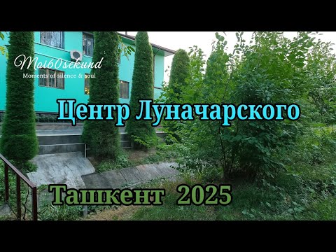 Видео: Элитная улица Ташкента 🌇 Где каждый шаг — как золото | Луначарского 2025 #4k