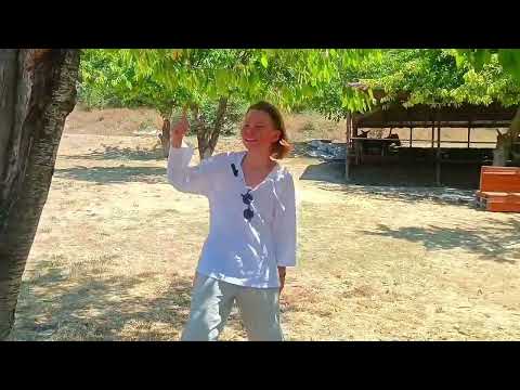 Видео: 1 ноября 2025 г.