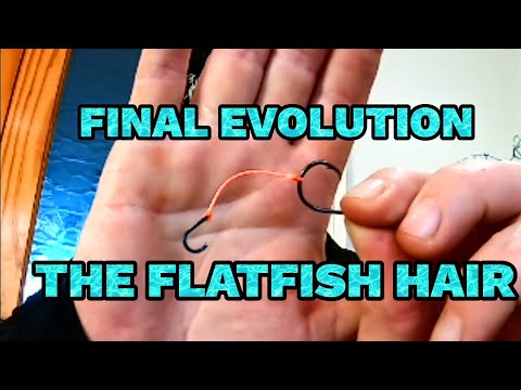 Видео: Окончательная эволюция волосяного покрова камбалы